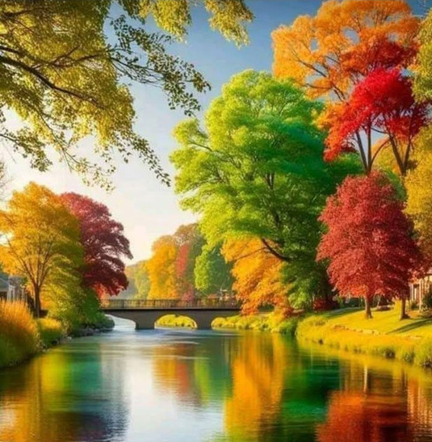 IMG 20250105 205251.jpg