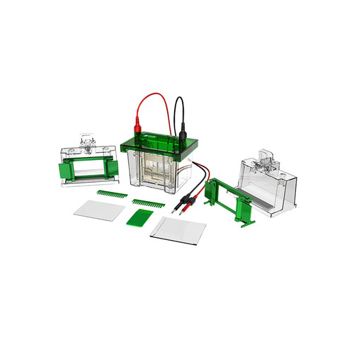 Vertical Electrophoresis System FM VES A100.jpg