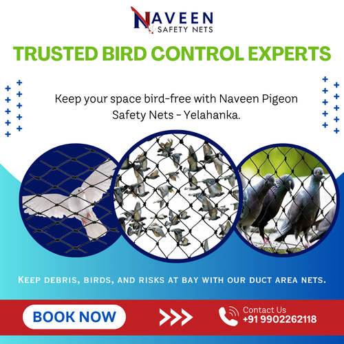 Protect your home with pigeon net installation in Yelahanka..png