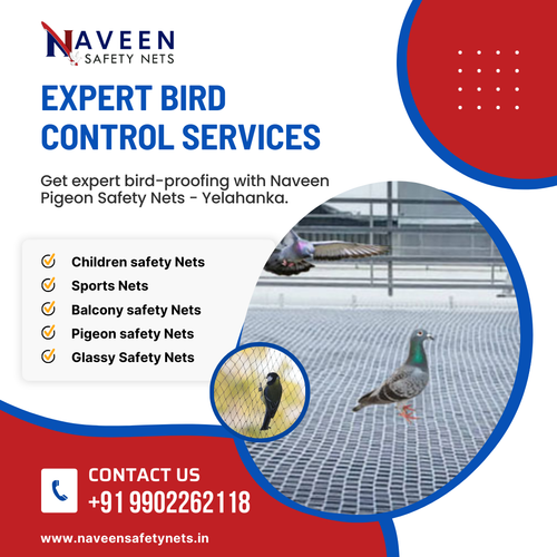 Get expert pigeon net installation in Yelahanka from trusted professionals.png