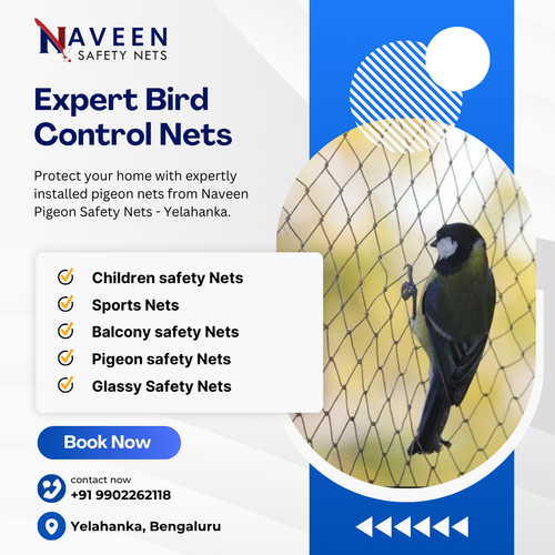 Get professional pigeon net installation in Yelahanka from experts..png