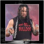 Bolo the Red Bulldog.jpg