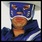 Blue Panther.jpg