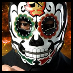 BUSHI alt3.jpg