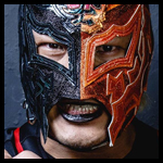 BUSHI alt8.jpg