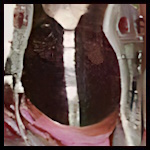 Boomerang (Skayde).jpg