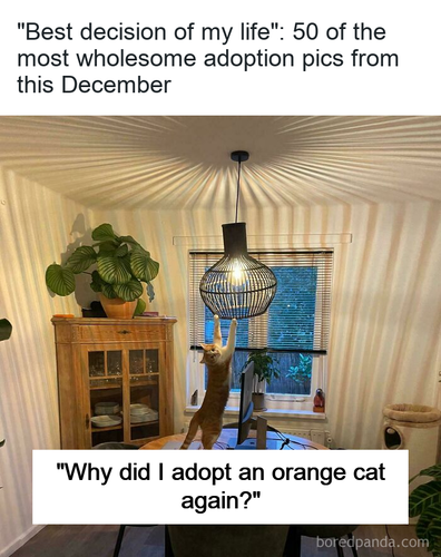 842e206f 016d 4da9 9e9b e80712b3af97.png