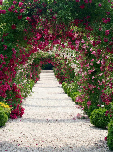 flower arch door garden wedding photography