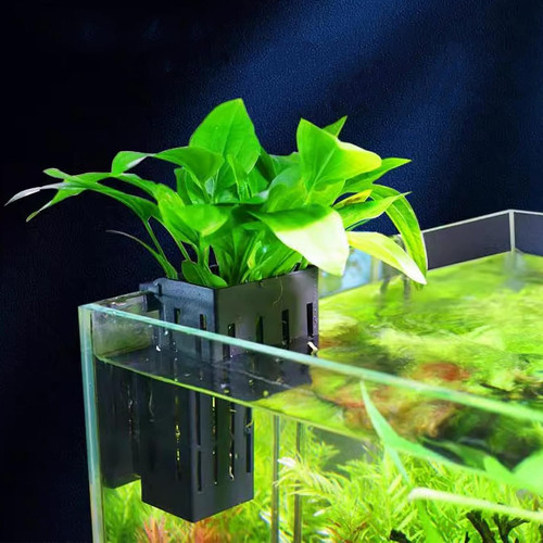 71B9kwdPcML. AC SL1500 .jpg