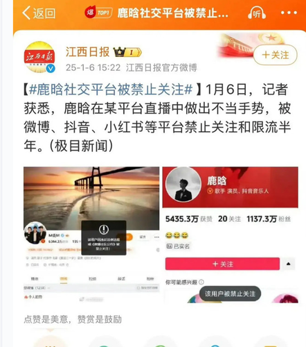 Screenshot 20250106 153318 com.mmbox.xbrowser.pro.png