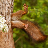 nikonwildlife2401