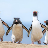 nikonwildlife2414