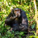 nikonwildlife2410