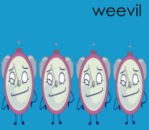 Untitled568 20241211090647.png