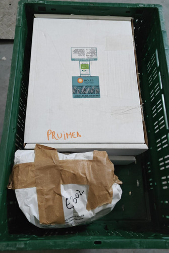 IMG 20241210 WA0012.jpg