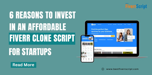 6 Reasons to Invest in an Affordable Fiverr Clone Script for Startups.jpg