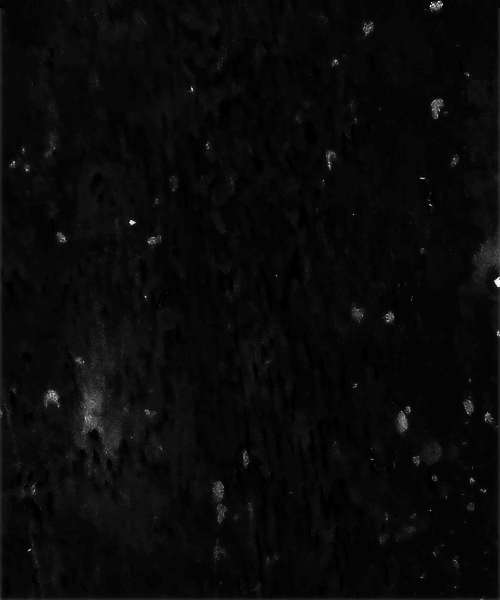 pack10simple (10).png