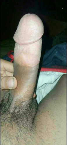 Screenshot ٢٠٢٤ ١١ ١١ ٢١ ٣٧ ٣١ ٠٤٨ com.miui.gallery