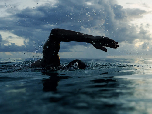 Take A Swim.jpg