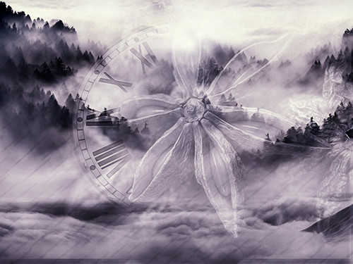 Selenium Desires #2.jpg