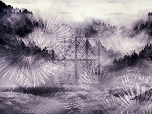 Selenium Desires #4.jpg