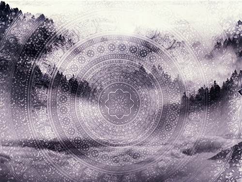 Selenium Desires #1.jpg