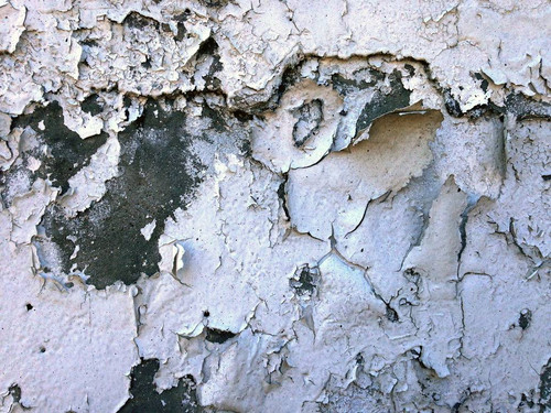 coldshore by synesthesea dds45mv pre.jpg