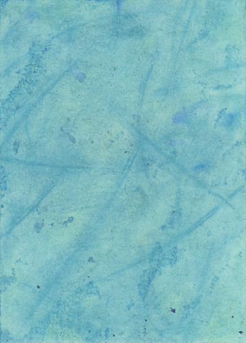 dierat texture feathers2.jpg