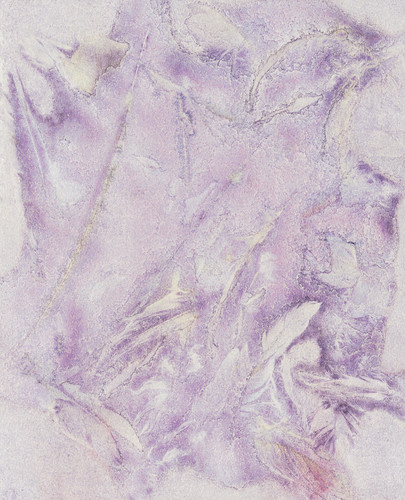 dierat texture feathers1.jpg