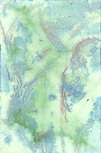 dierat texture feathers12.jpg