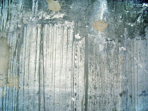 november rain 01 by synesthesea db3wq2f fullview.jpg