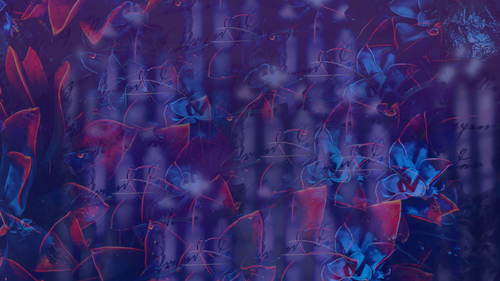 LGaMG 4 Elflover21.png