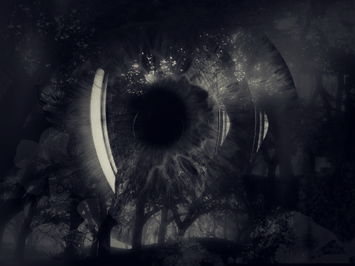 ©AnthonyGimenez.dA.All rights reserved (2).png