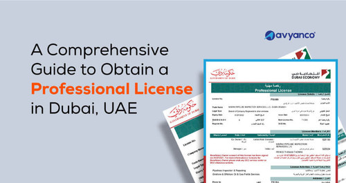 professional license in dubai.jpg