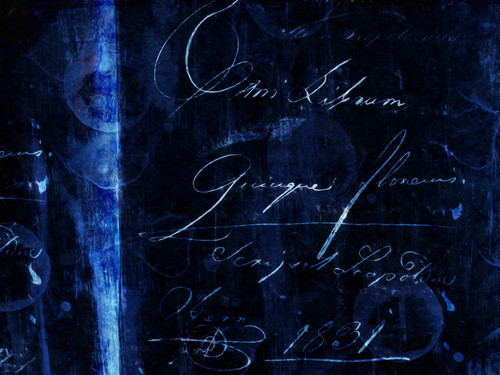 #4 DARIAYOURLOCALIDIOT.jpg