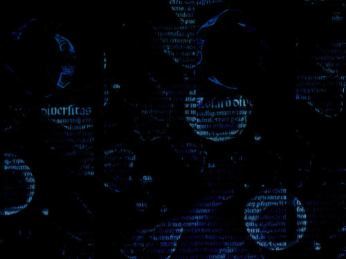 #3 DARIAYOURLOCALIDIOT.jpg