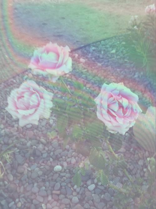 tumblr n15eedXBJ21tt93euo4 500.jpg