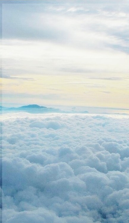 tumblr nbp2nymeNw1s2jh8so1 500.jpg