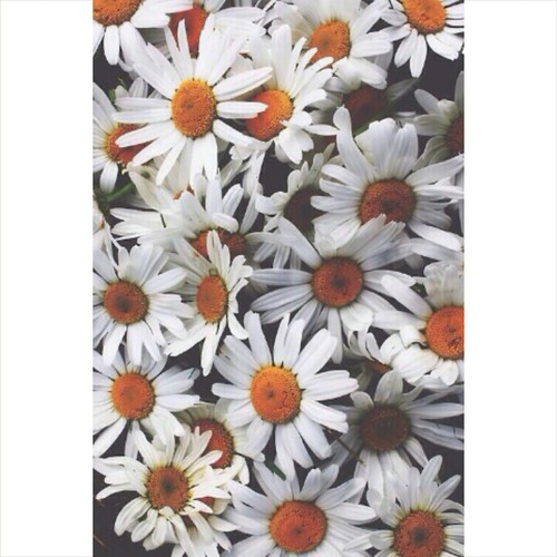 tumblr nba2084VPV1sp3unpo1 500.jpg