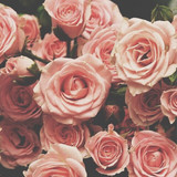 tumblr nbp54pbosN1t08n8uo1 500.jpg