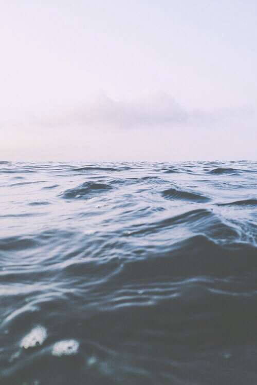 tumblr nbp69pv1Sa1qbw6t5o1 500.jpg