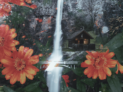 cabin feels three.png