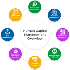 Altivate: SAP HCM for Better Employee Management.png