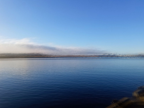 2024 12 11 11 46 01 0001 DxO