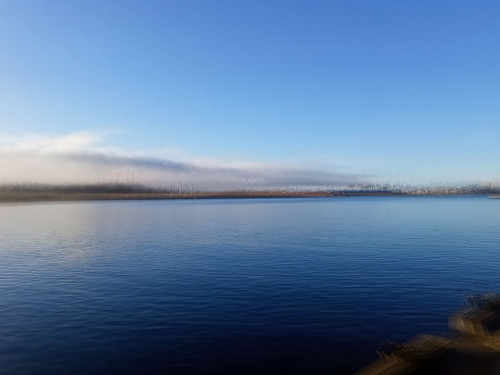 2024 12 11 11 46 01 DxO