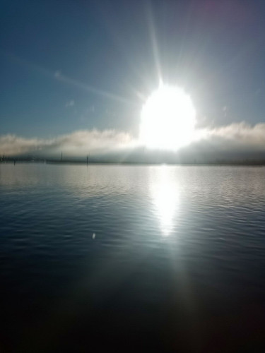 2024 12 11 11 41 48 DxO