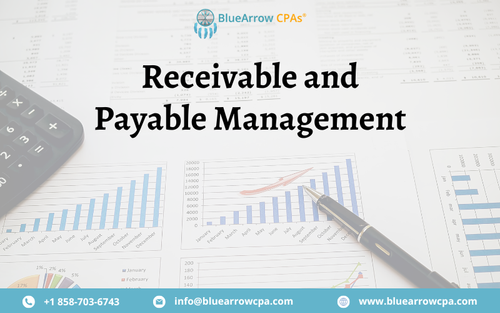 Receivable and Payable Management.png