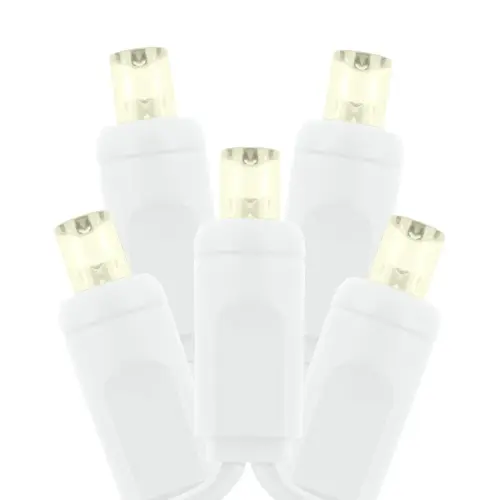 5MM XXXX PW 1 2.webp