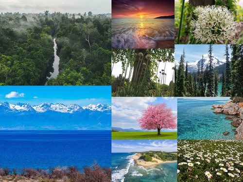 ' Glorified is The All-Mighty Creator '.jpg