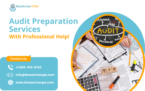 Audit Preparation Services .png